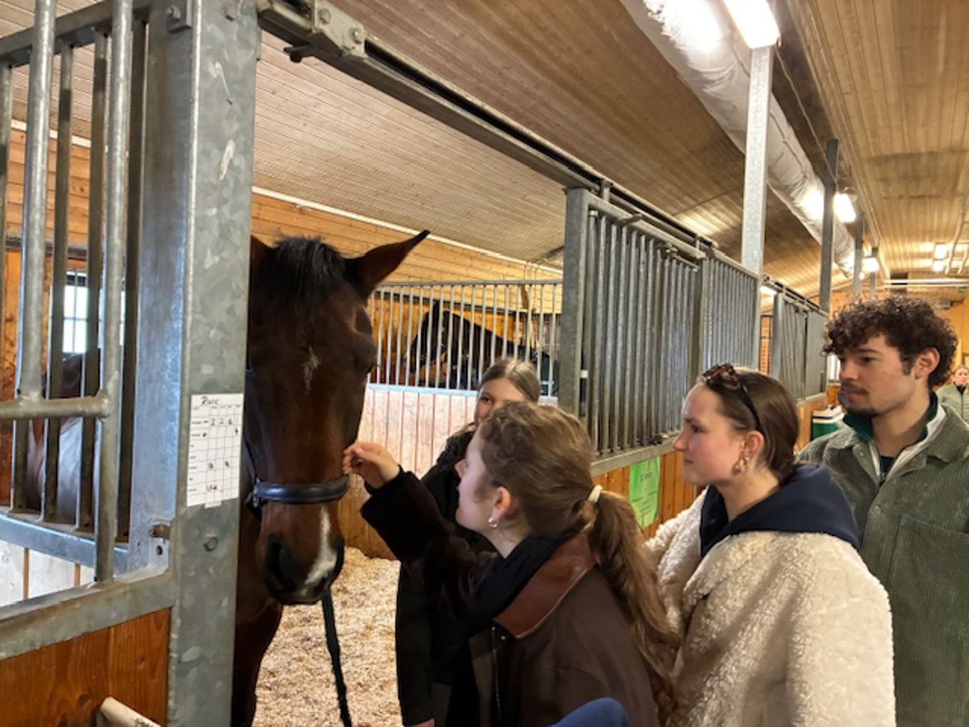 Foto: Foss vgs En gruppe mennesker står rundt en hest