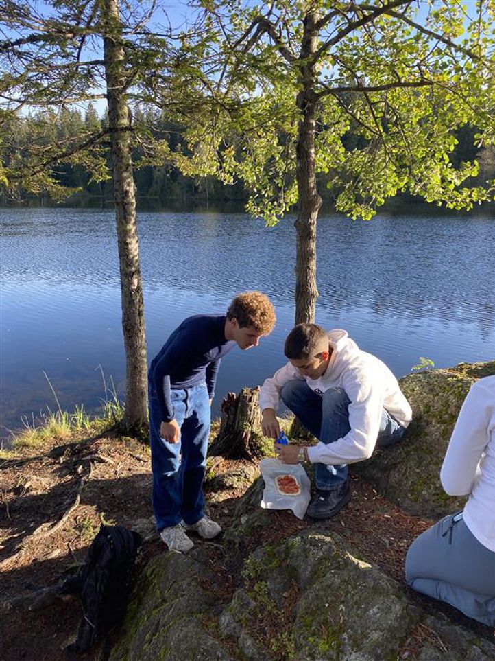 en gruppe mennesker som jobber på et tre ved siden av en vannmasse