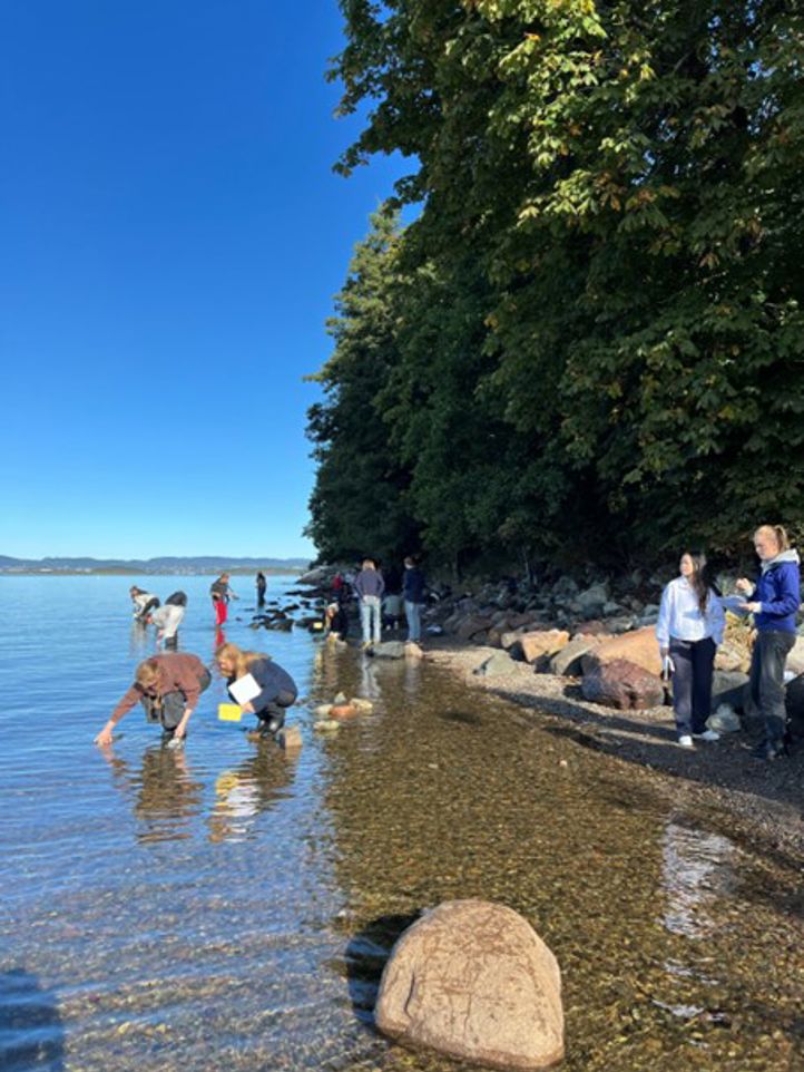 En gruppe mennesker på en strand